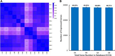 Transcriptomic Analysis of Mature Transgenic Poplar Expressing the Transcription Factor JERF36 Gene in Two Different Environments